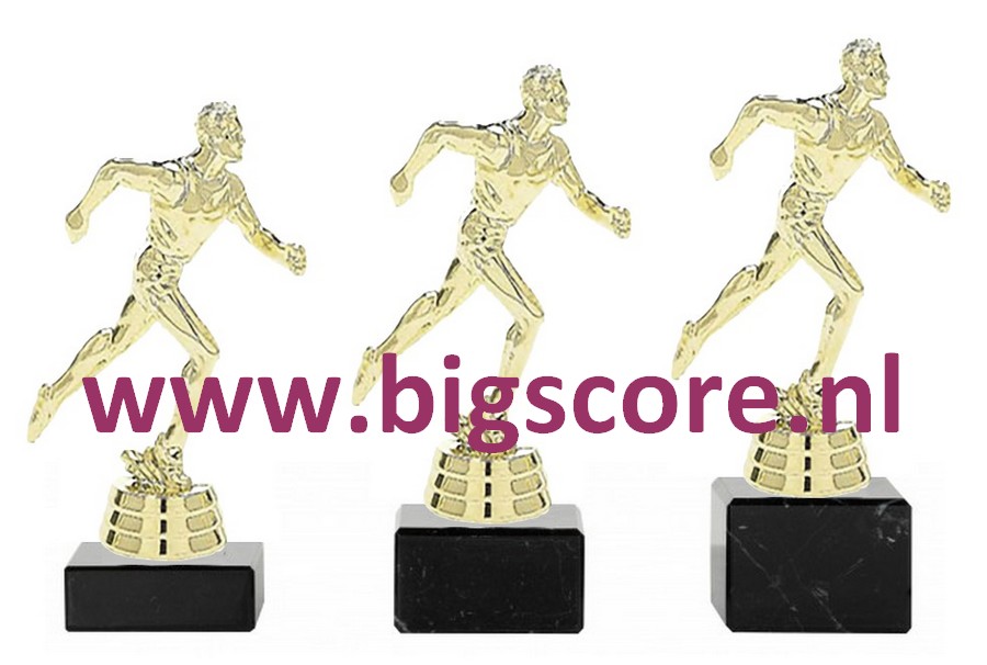 Hardlopen Heer Goud 415-G